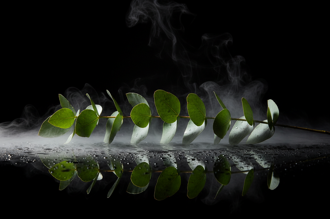 Eucalyptus Oil in the Shower: What Happens