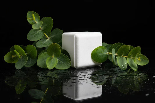 Shower steamer and Eucalyptus