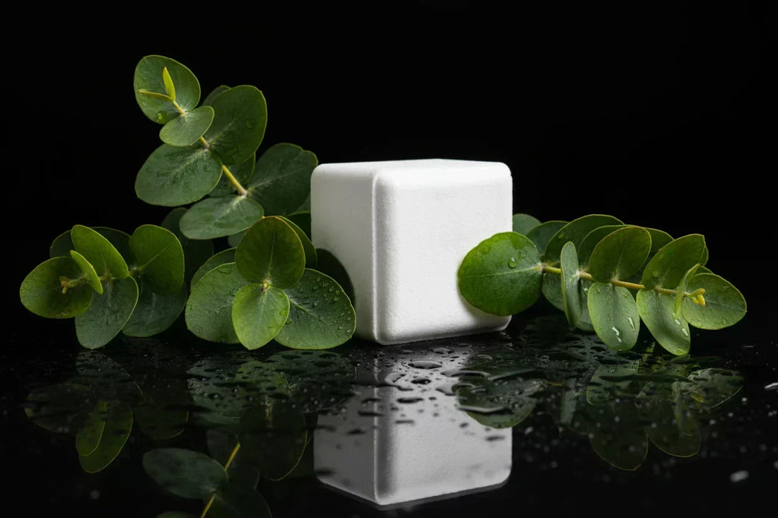 Shower steamer and Eucalyptus