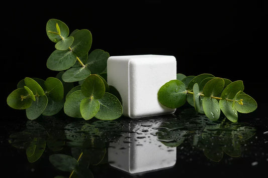 Shower steamer and Eucalyptus