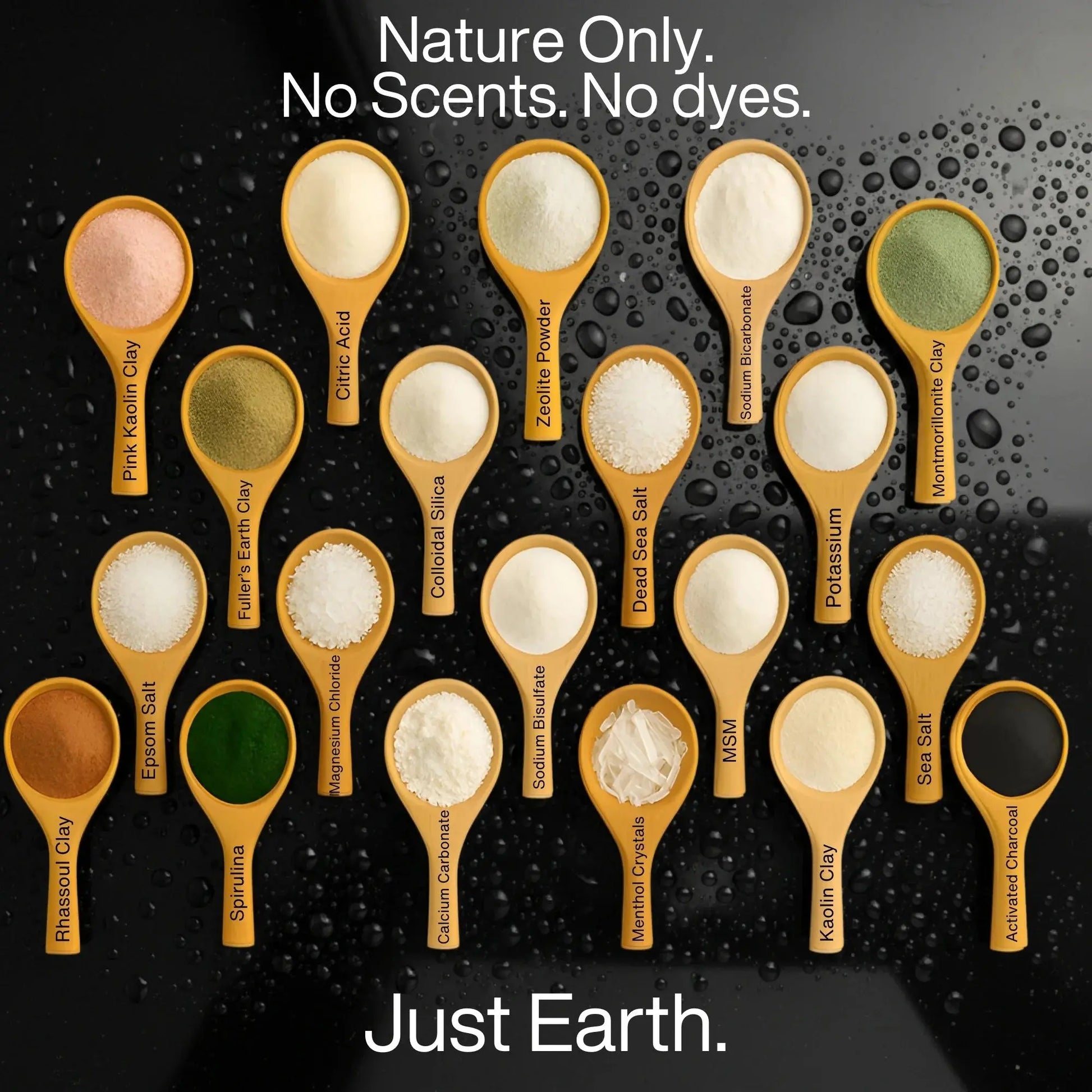 Wooden spoons with various natural powders on a black background with water droplets, featuring 'Just Earth' branding.