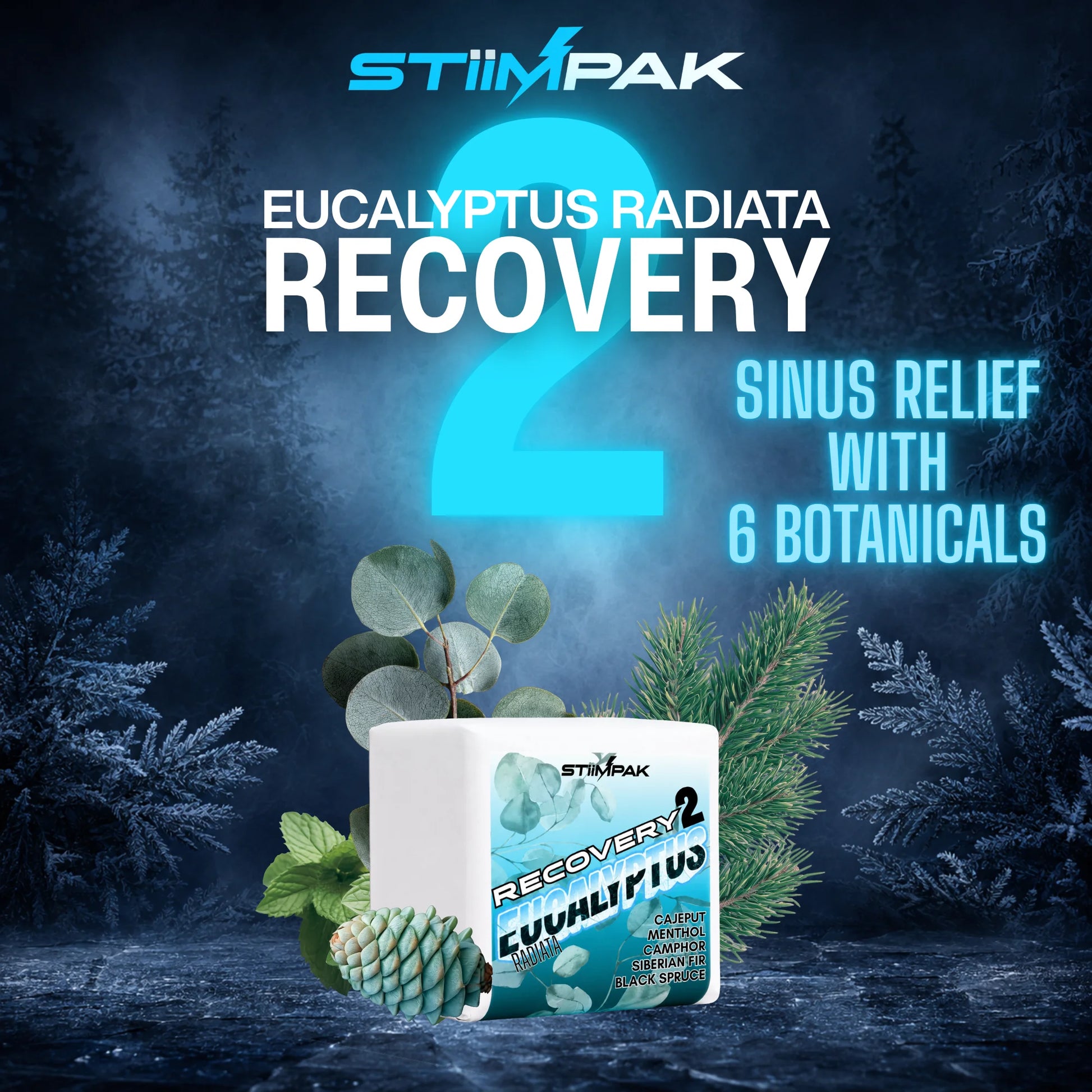 Stiimpak Eucalyptus Radiata Recovery 2 Sinus Relief with 6 botanicals. The image shows a square shower steamer with its label, surrounded by eucalyptus leaves, a pinecone, and evergreen branches against a dark, snowy forest background with a large blue number 2 and product text.