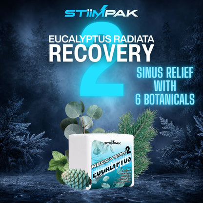 Stiimpak Eucalyptus Radiata Recovery 2 Sinus Relief with 6 botanicals. The image shows a square shower steamer with its label, surrounded by eucalyptus leaves, a pinecone, and evergreen branches against a dark, snowy forest background with a large blue number 2 and product text.