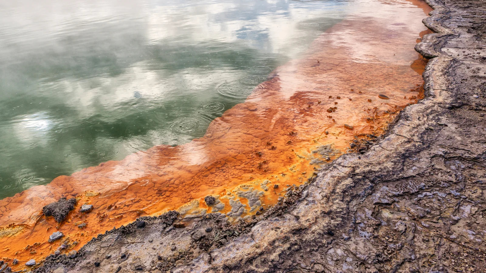 Rotorua